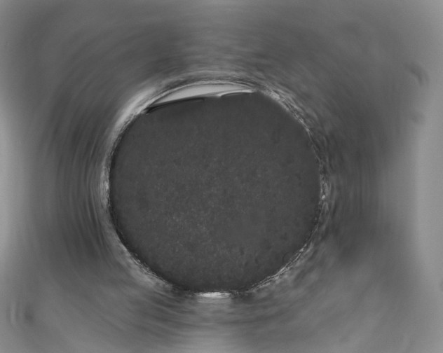 X0000110940053200906261309