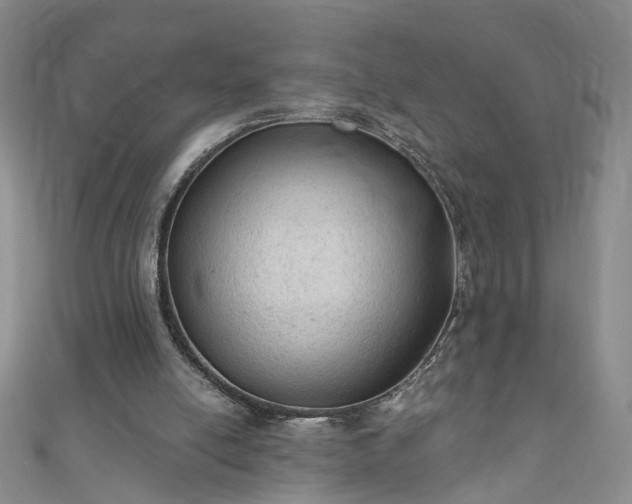 X0000110940054200906261309