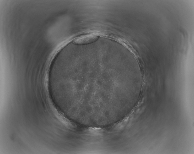 X0000110940055200906261309