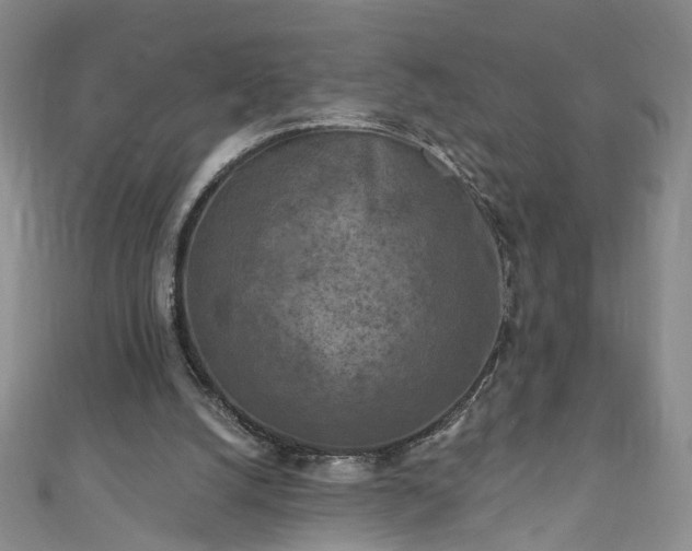 X0000110940056200906261309