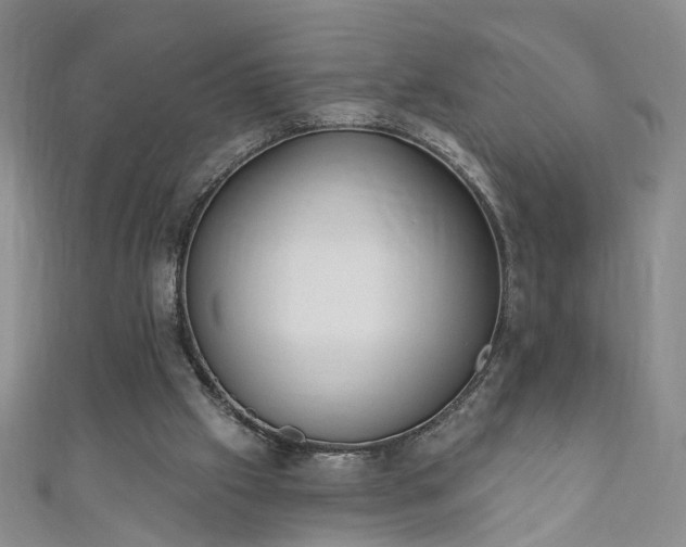 X0000110940057200906261309