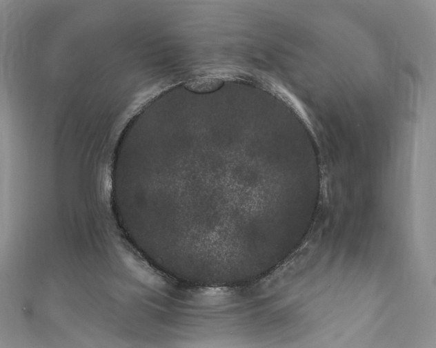 X0000110940059200906261309