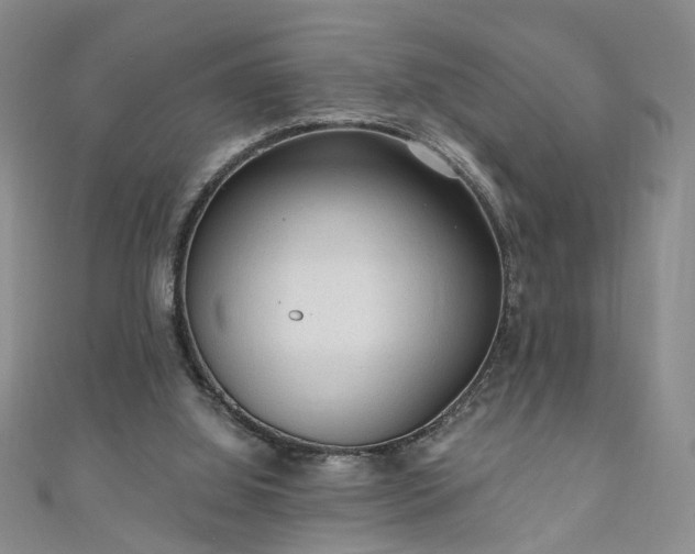 X0000110940060200906261309