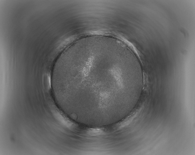 X0000110940061200906261309