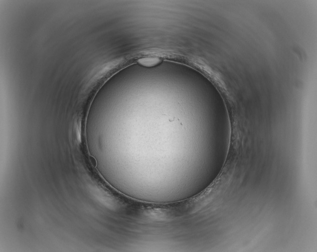 X0000110940062200906261309