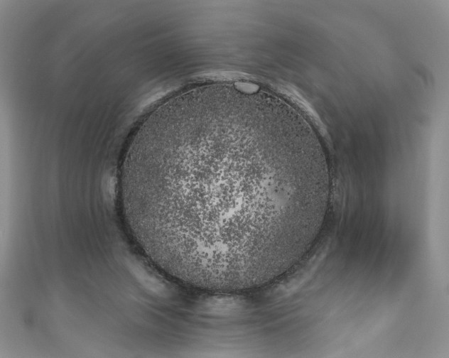 X0000110940063200906261309