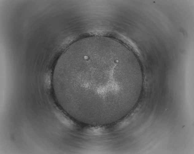 X0000110940065200906261309