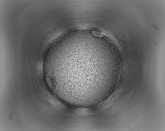 X0000110940066200906261309