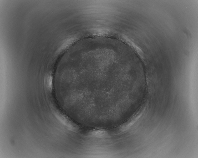 X0000110940067200906261309