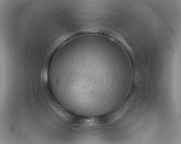 X0000110940068200906261309