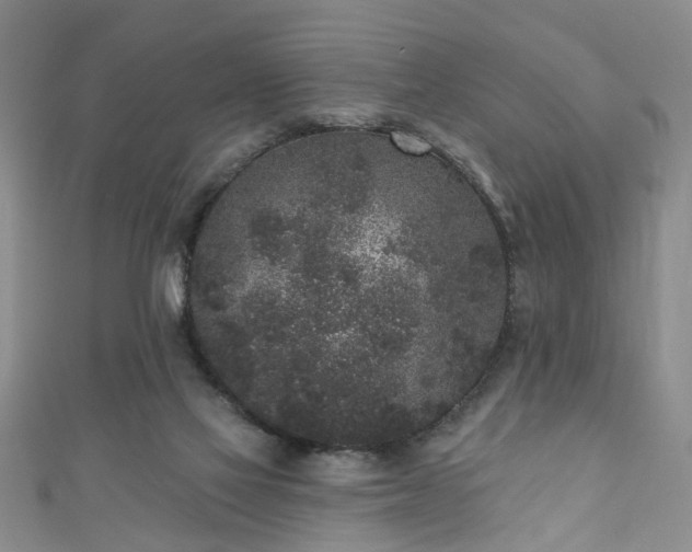 X0000110940069200906261309