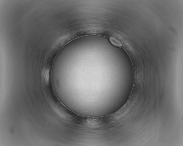 X0000110940070200906261309