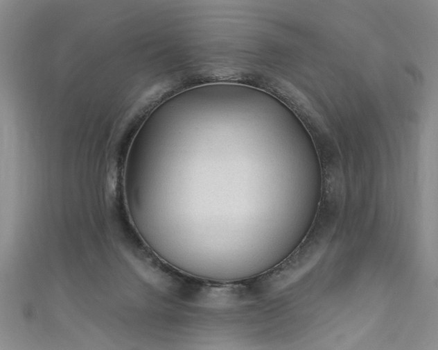 X0000110940072200906261309