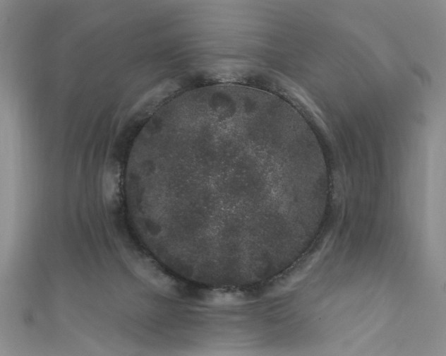 X0000110940073200906261309