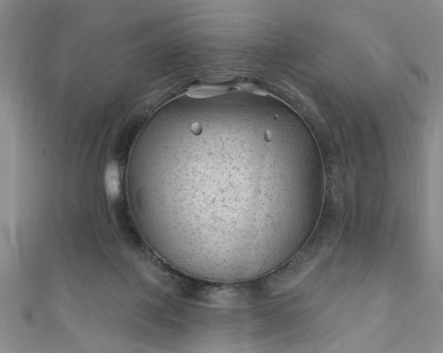 X0000110940075200906261309