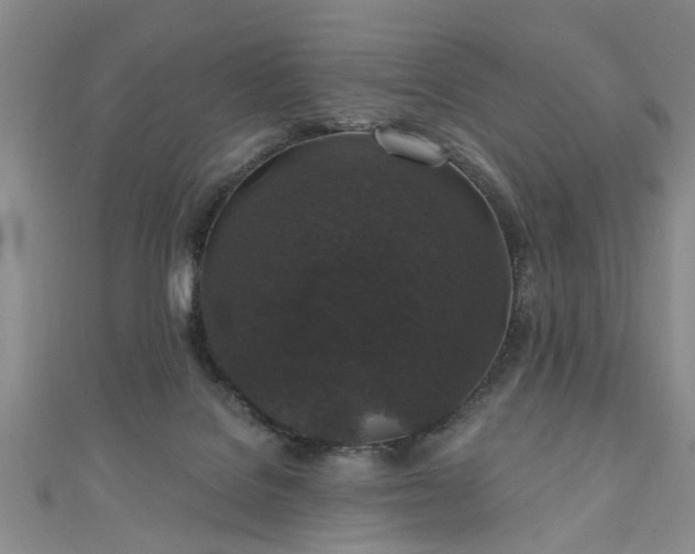 X0000110940076200906261309