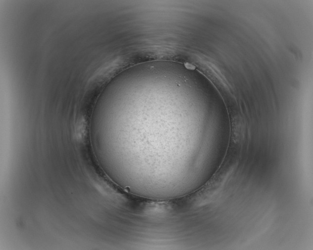 X0000110940077200906261309