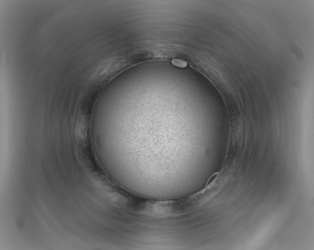 X0000110940078200906261309