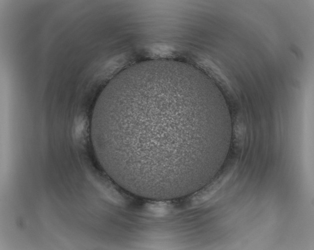 X0000110940079200906261309