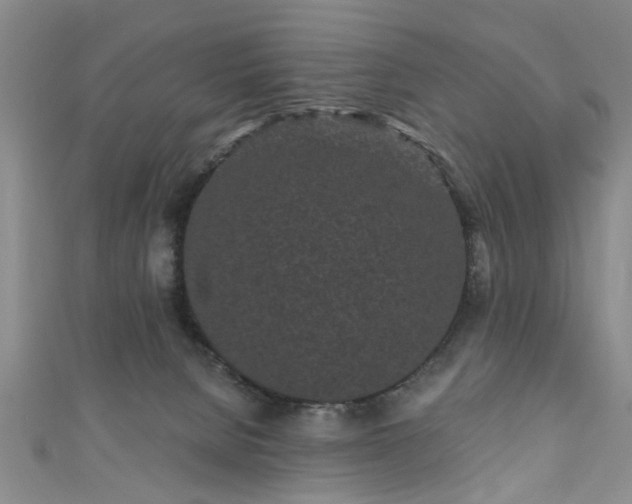 X0000110940080200906261309