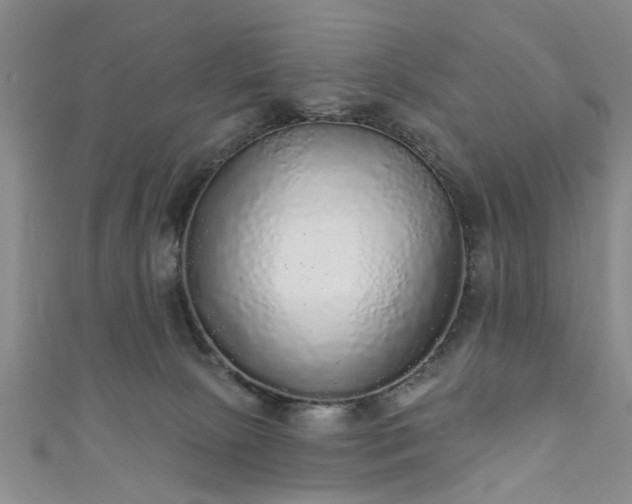 X0000110940081200906261309