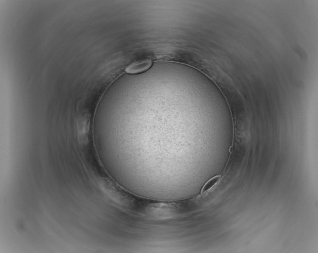 X0000110940082200906261309