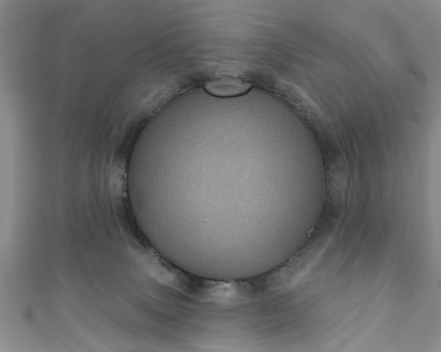 X0000110940083200906261309