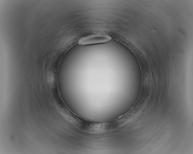 X0000110940084200906261309