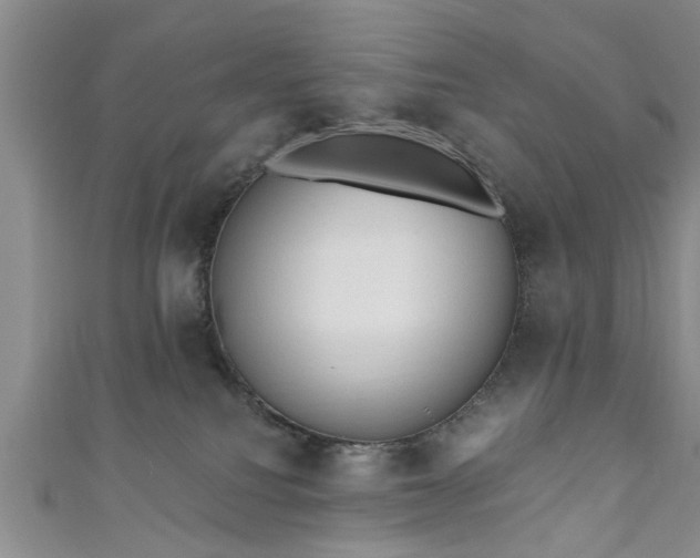 X0000110940088200906261309