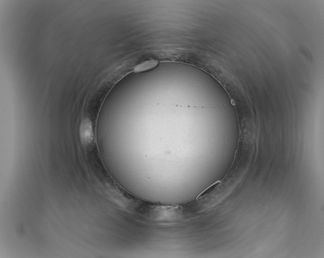 X0000110940089200906261309