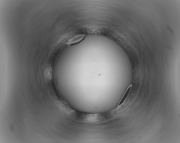 X0000110940090200906261309