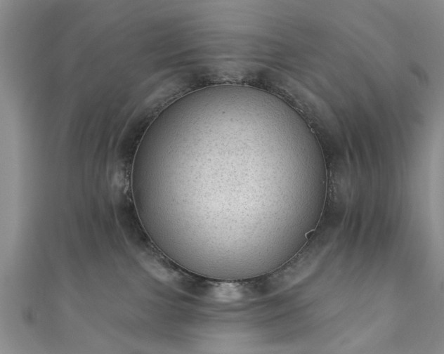 X0000110940091200906261309