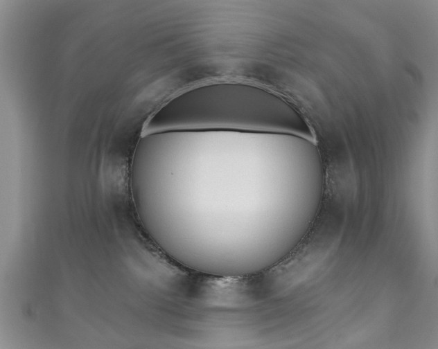 X0000110940092200906261309