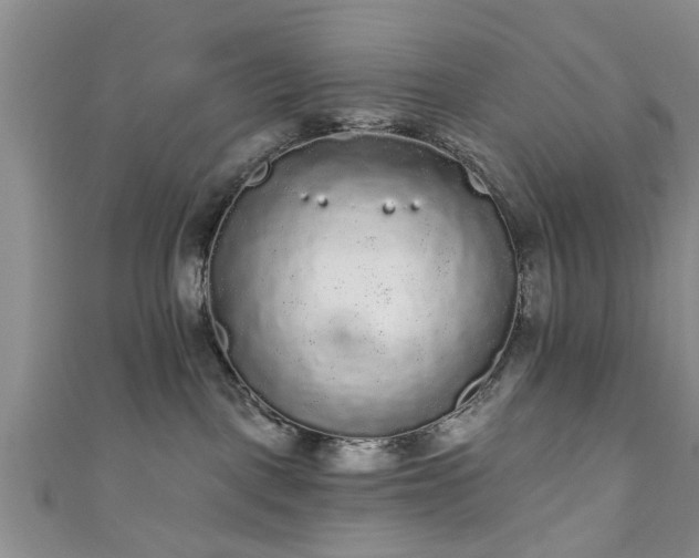 X0000110940093200906261309