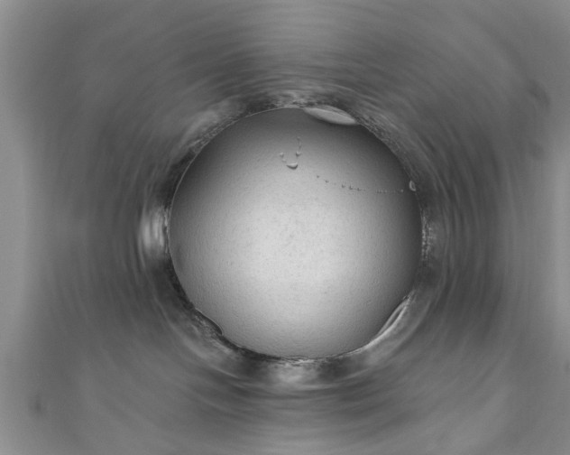 X0000110940094200906261309