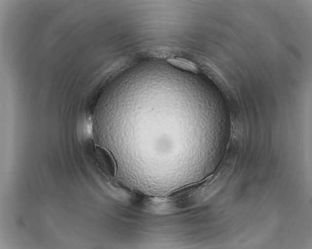 X0000110940095200906261309