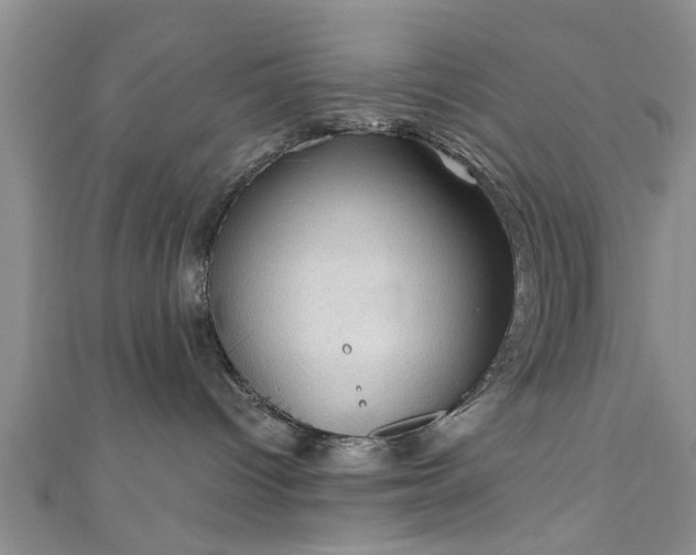 X0000110940096200906261309