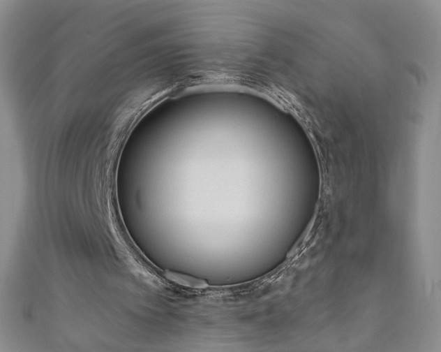 X0000110940097200906261309