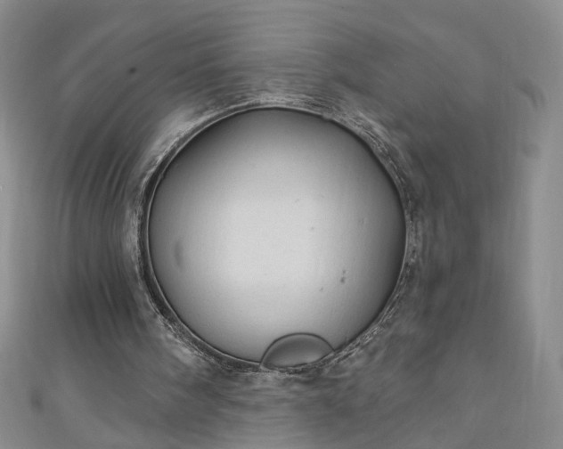 X0000110940098200906261309