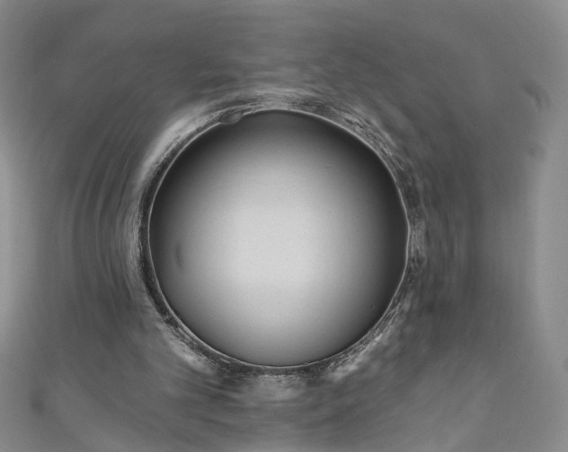 X0000110940101200906261309