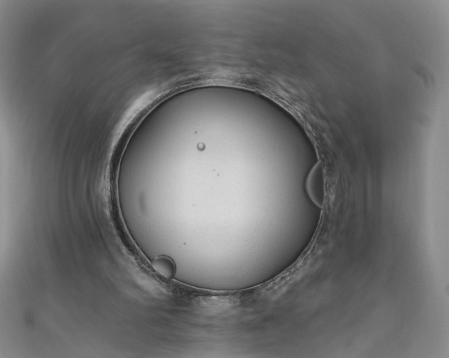 X0000110940102200906261309