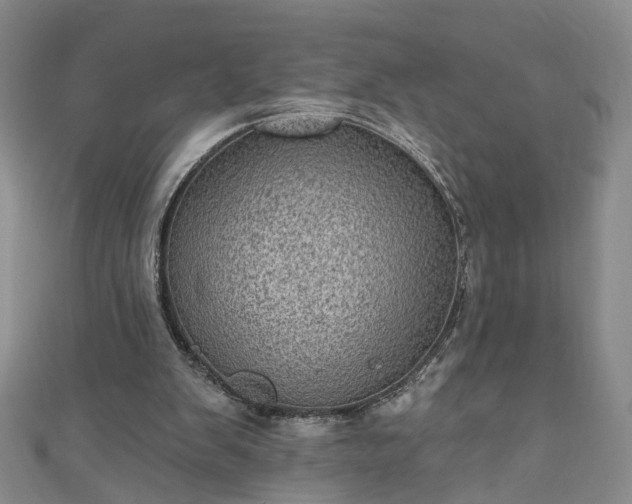 X0000110940103200906261309