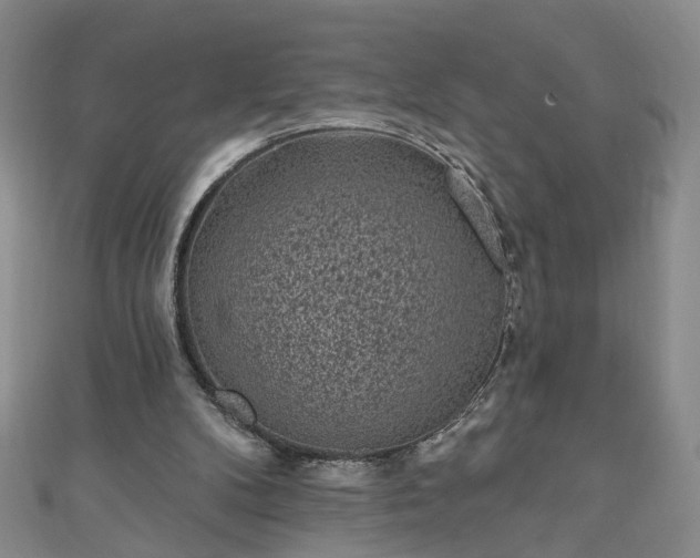 X0000110940104200906261309