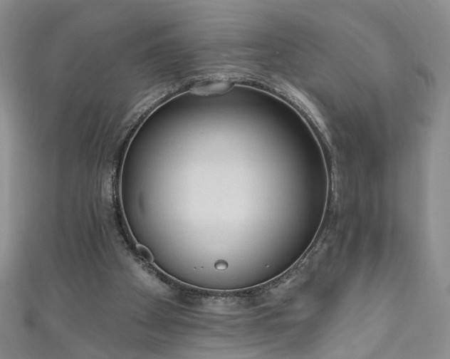 X0000110940105200906261309