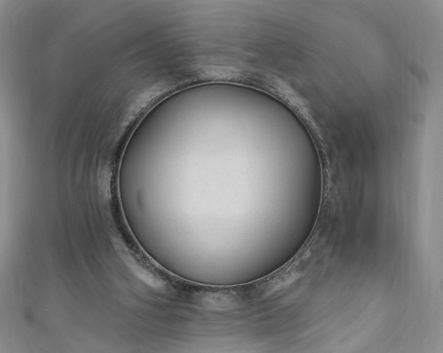 X0000110940106200906261309