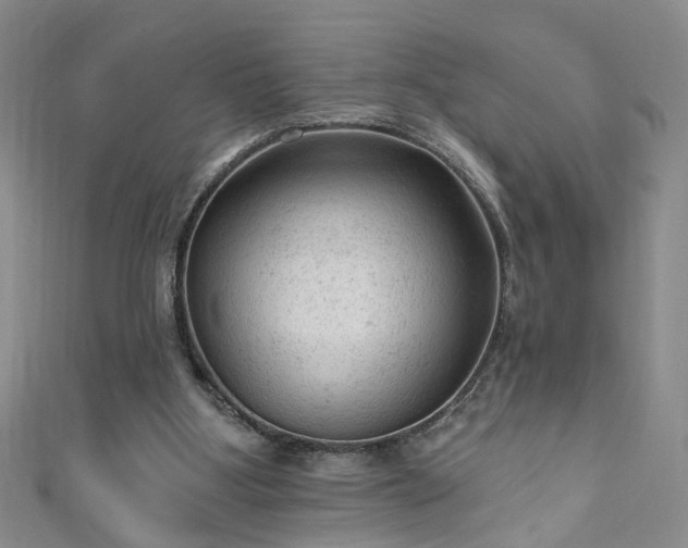 X0000110940107200906261309