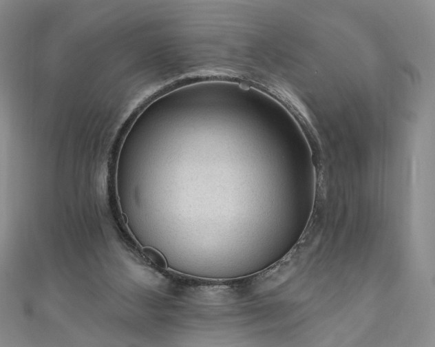 X0000110940108200906261309