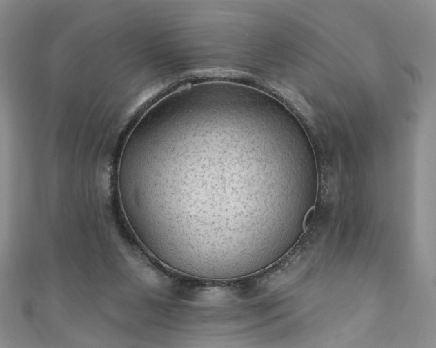 X0000110940111200906261309