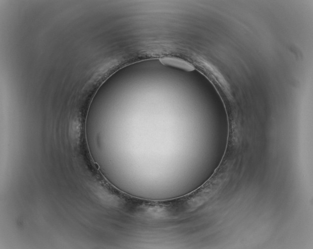 X0000110940113200906261309