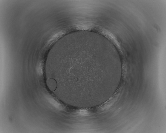 X0000110940114200906261308